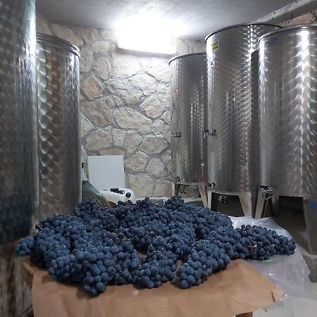 Apartman Genova Imotski Donji Vinjani Екстериор снимка